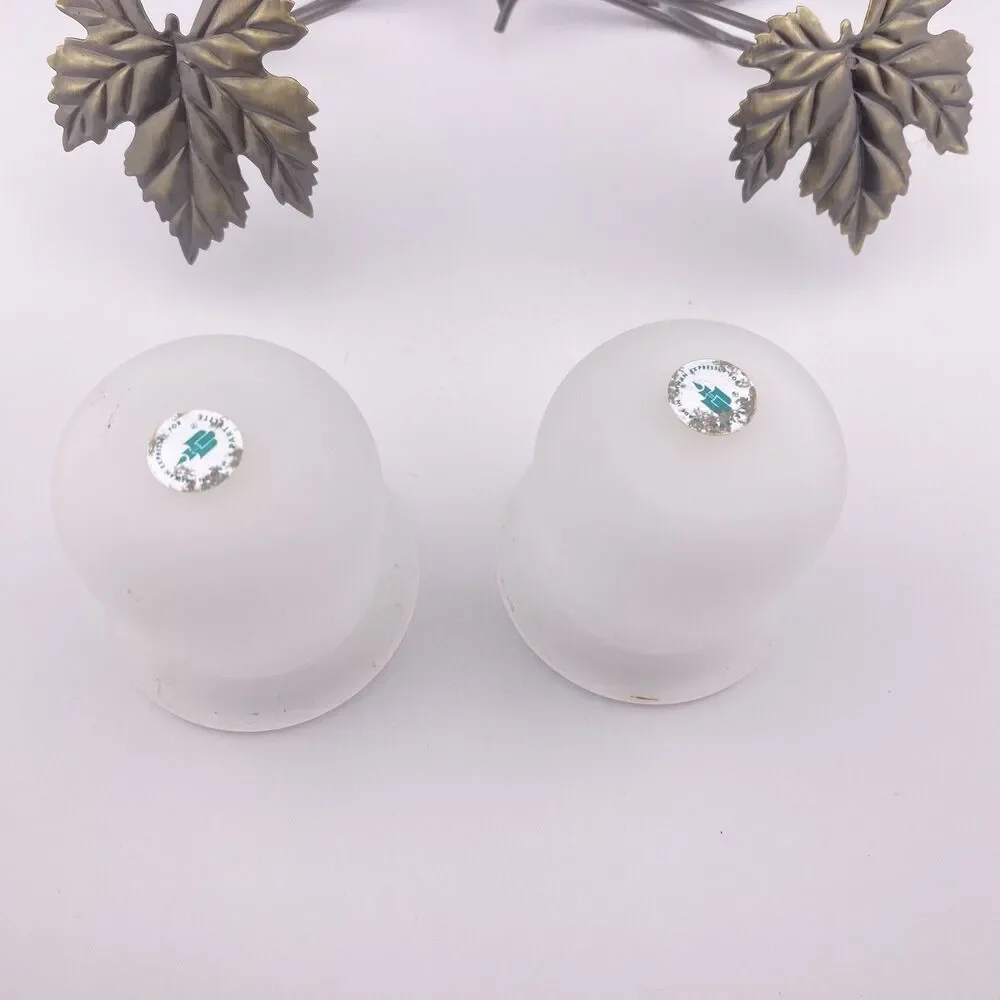 Partylite Grape Leaf Wall Sconce Pair With Frosted Votive Holders P7751